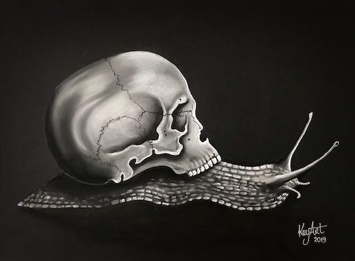 Skull & snail on a black sheet, d'après Claude Serre-min