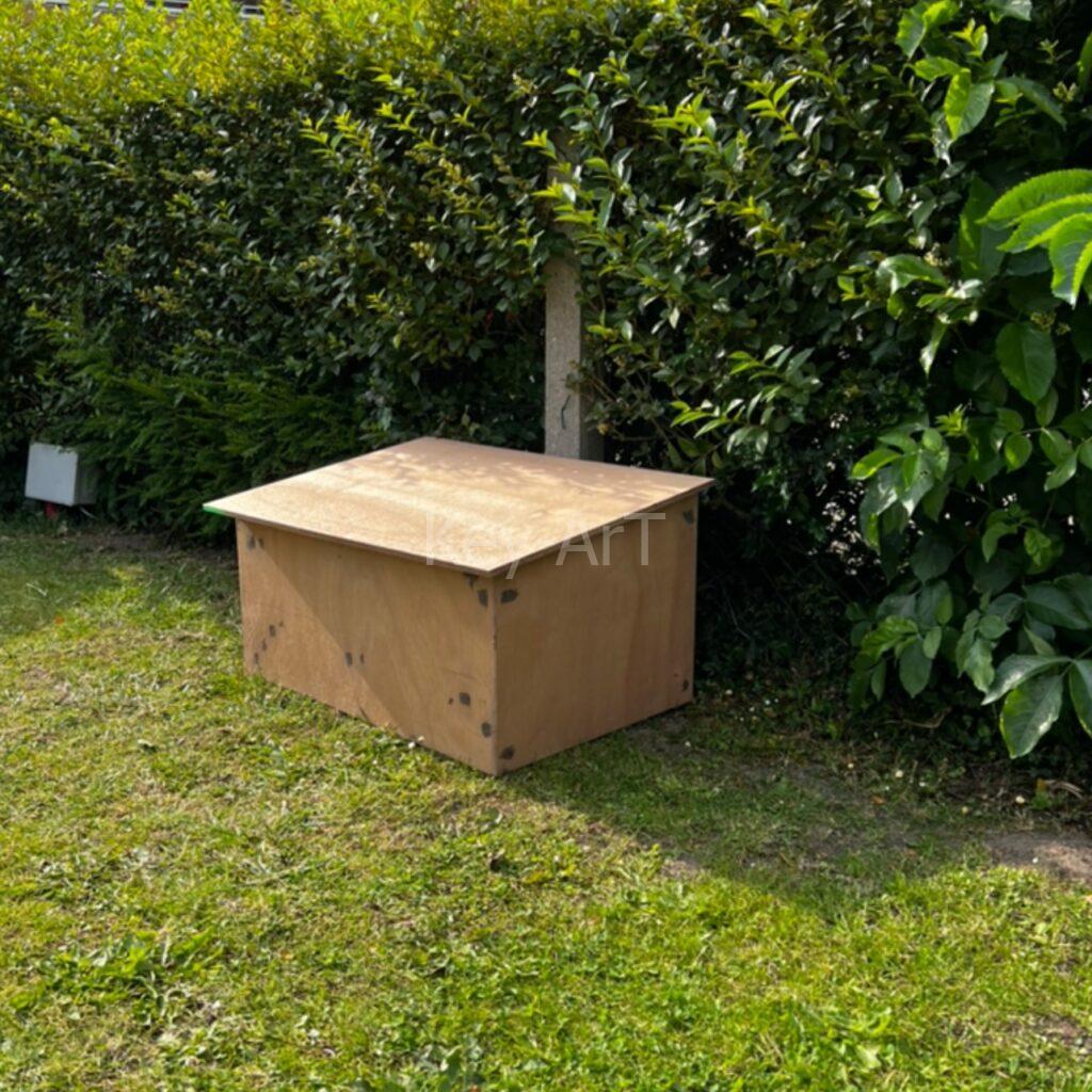 cabanerobot2
